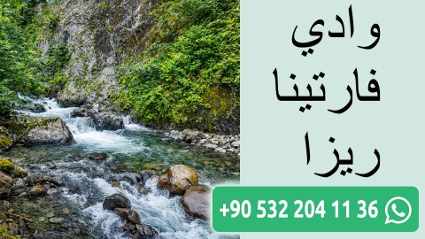 وادي فارتينا ريزا